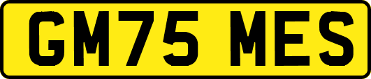 GM75MES