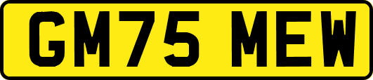GM75MEW