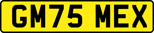 GM75MEX