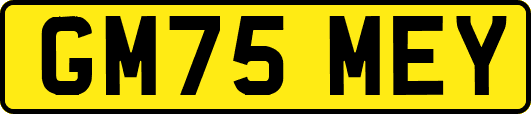 GM75MEY