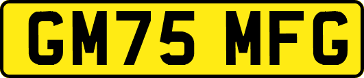 GM75MFG