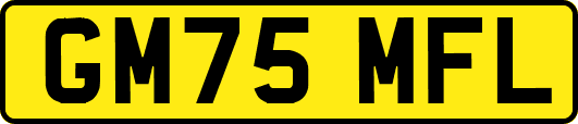 GM75MFL