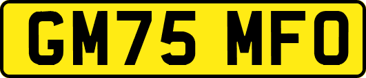 GM75MFO