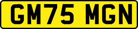 GM75MGN