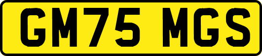 GM75MGS