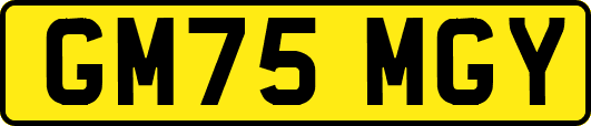 GM75MGY