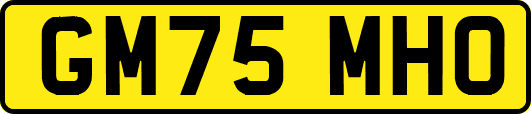 GM75MHO