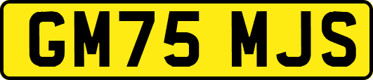 GM75MJS