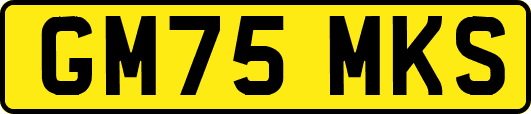 GM75MKS