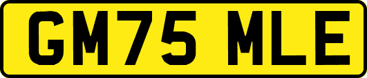 GM75MLE