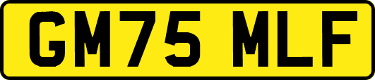 GM75MLF