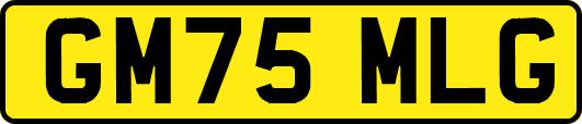 GM75MLG