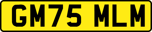 GM75MLM