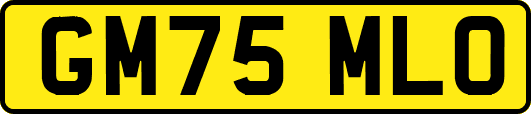 GM75MLO
