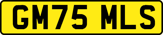 GM75MLS