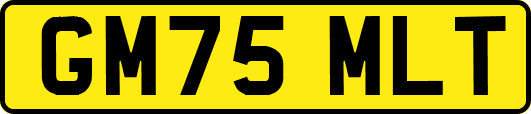 GM75MLT