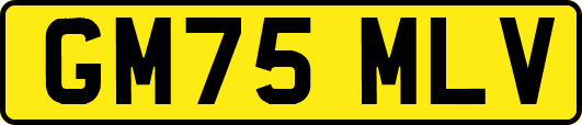 GM75MLV