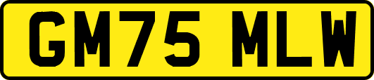GM75MLW