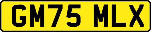 GM75MLX