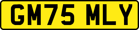 GM75MLY