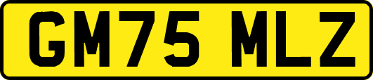 GM75MLZ
