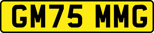 GM75MMG