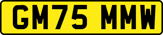 GM75MMW