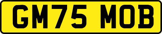 GM75MOB