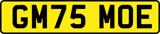 GM75MOE
