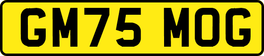 GM75MOG