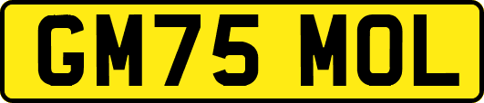 GM75MOL