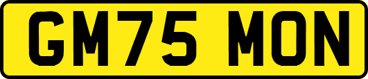 GM75MON