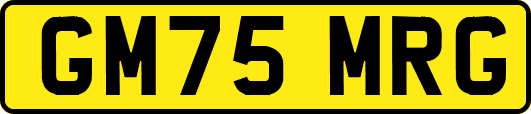 GM75MRG