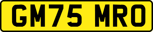 GM75MRO
