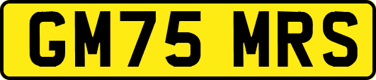 GM75MRS