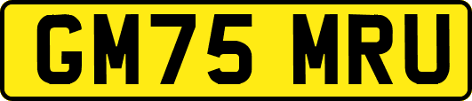 GM75MRU