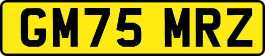 GM75MRZ