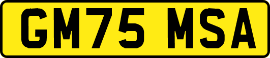 GM75MSA