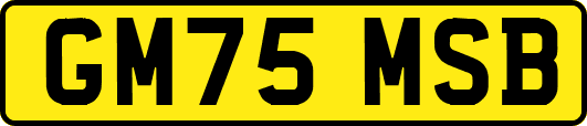 GM75MSB