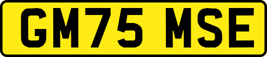 GM75MSE