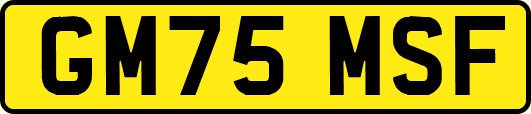 GM75MSF