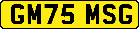GM75MSG