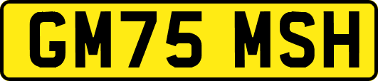 GM75MSH