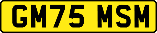 GM75MSM
