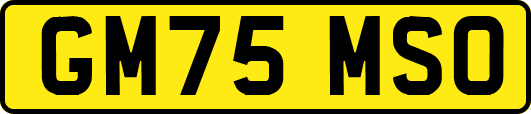 GM75MSO