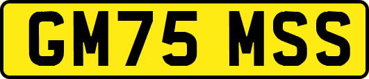 GM75MSS