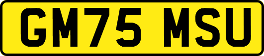 GM75MSU