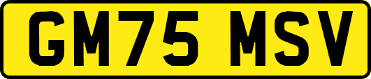 GM75MSV