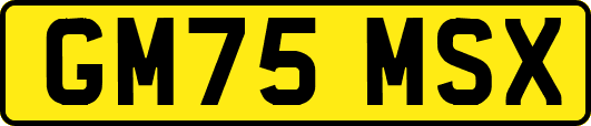 GM75MSX