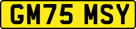 GM75MSY